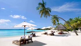 Begin your visa-prepared day with Vietnam’s tranquil ambiance